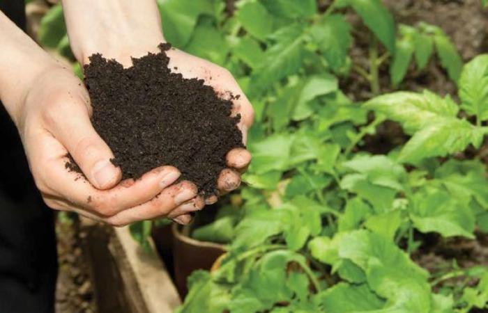 حماية المستهلك.. قرار النائب العام بحفظ قضية زبيدة تصالح مع الفساد