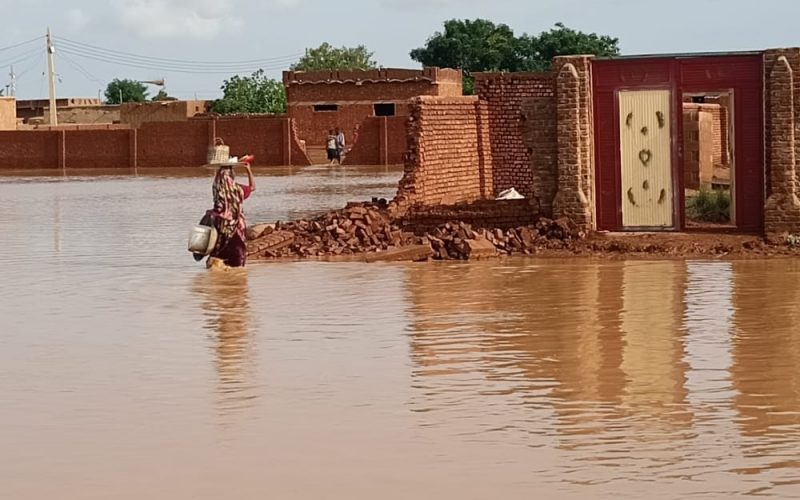 المناقل وجنوب الجزيرة .. الحياة تحت الماء؟