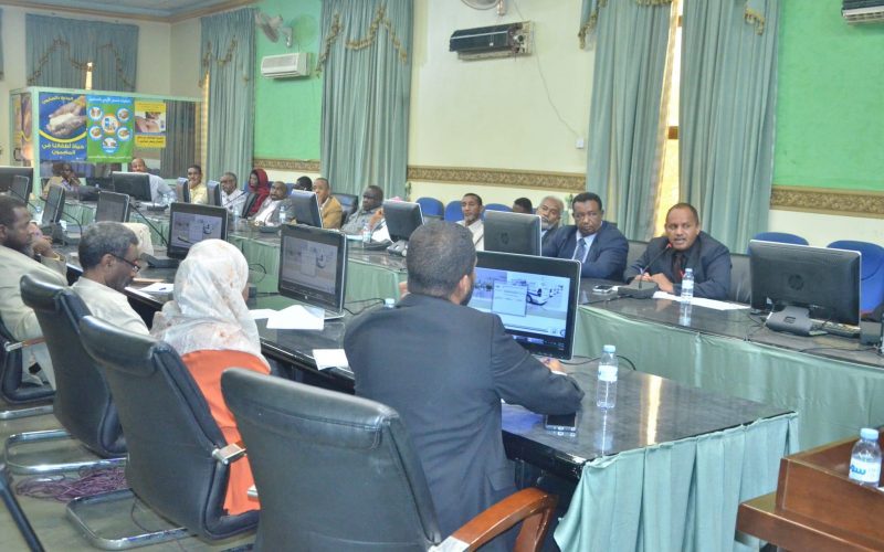 وزير الصحة الاتحادي يصدر قرارا بإنشاء قسم يعني بأعمال الحج والعمرة بوزارة الصحة