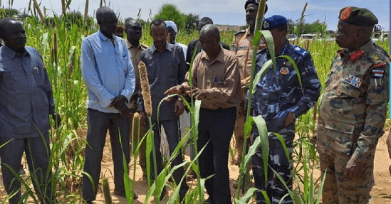 غرب دارفور تضع خطّةً لحماية الموسم الزراعي