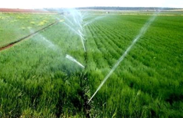 المزارع بين المطرقة والسندان