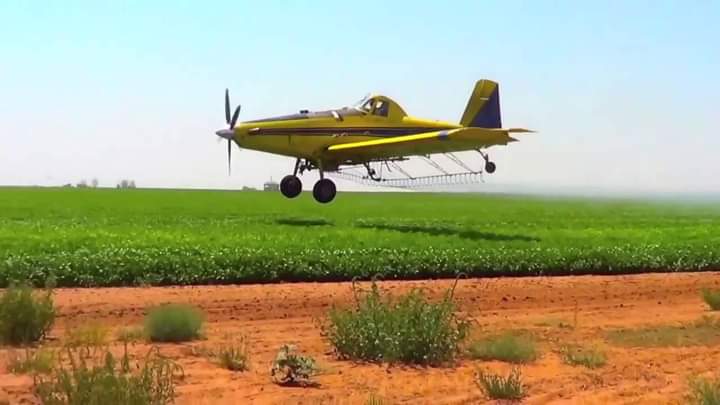 الفراغ من عمليات مكافحة  الآفات الزراعية