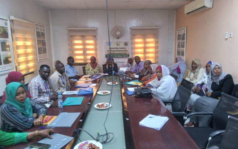 الكشف عن مخاطر  تهدد  إنتاج الأعلاف بالسودان