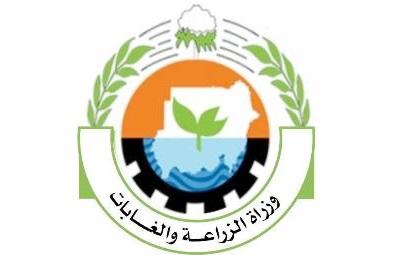 قطاع الغابات.. مصدر الغذاء والتخفيف من حدة تغير المناخ