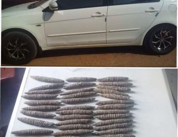 القبض على احد منسوبي الدعم السريع المحلول بالقضارف