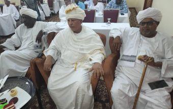 151 مليار تبرع أبناء منطقة أرقو ( الولاية الشمالية) لاستادها