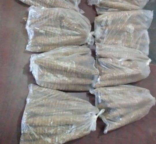 مكافحة المخدرات ببحري تضبط متهماً بحوزته 100 رأس من الحشيش