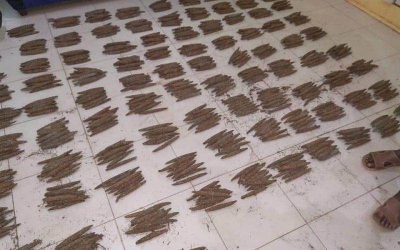 المكافحة بأمدرمان تلقي القبض على مروج بحوزته (1520) قندول بنقو