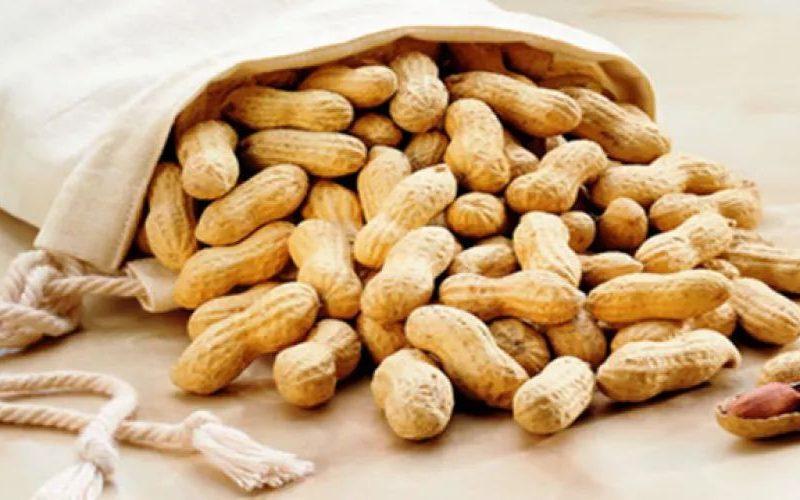 بعائد مليار دولار.. توقعات بزيادة حجم صادرات الفول  السوداني