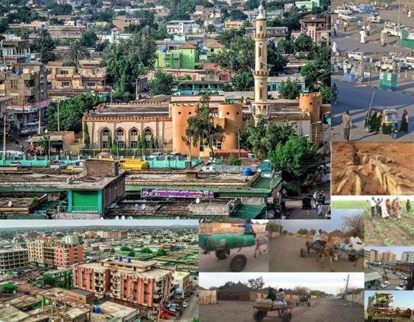 رئيس لجنة العرض الاقتصادي بالقضارف يدعو لوضع خارطة لإنتاج المحاصيل