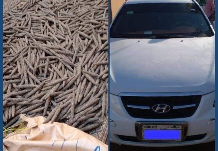 ضبطُ مُروِّج بحوزته عدد “1640” رأس حشيش وعربة سوناتا