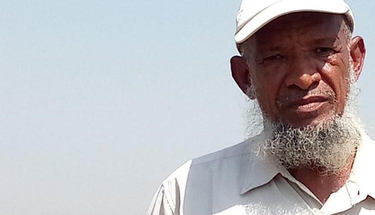 توقُّعات بإنتاج “15” جَوَّالاً لفدان القمح بحلفا