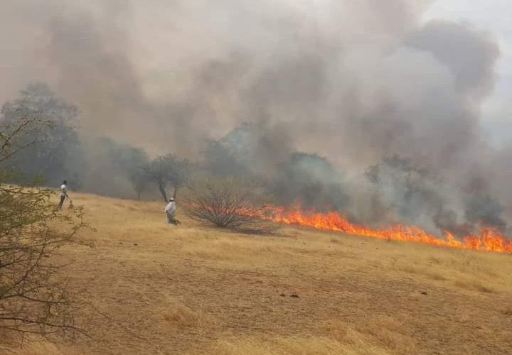 حريق هائل يقضي على محصولي  الذرة والفول السوداني، شرق دارفور