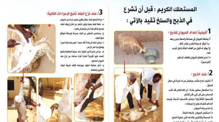 انخفاض نسبة الفاقد من الجلود بالسودان