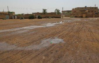 ظاهرة النز.. محاصرة المسببات وخطط المواجهة