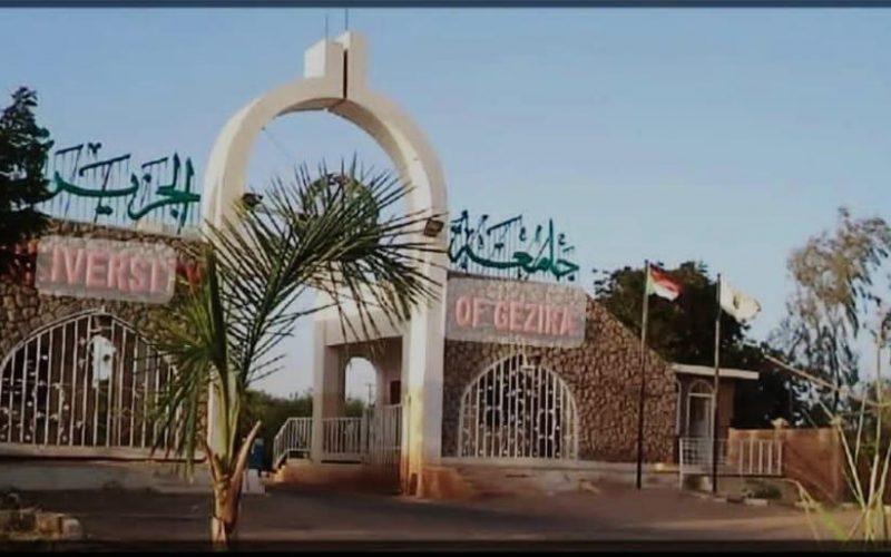 بَدءُ الدِّراسة بجامعة الجزيرة منتصف الشّهر الجاري