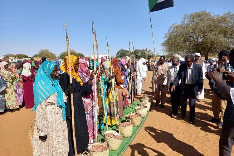 توقعات بزيادة انتاج الصمغ العربي بما يفوق (80) ألف طنّاً