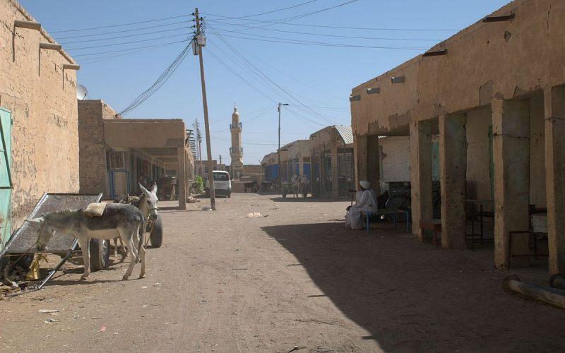 محلية الدامر تنظم حملة لإزالة تراكمات النفايات بمسلخ الدامر