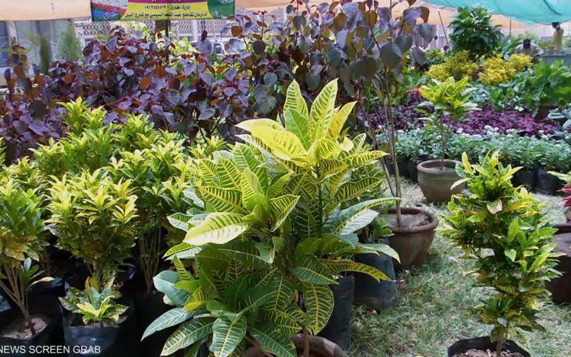 انطلاق فعاليات معرض الزهور السنوي