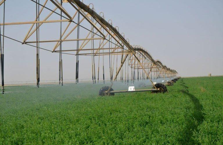 بمساحة تتجاوز الـ(600) ألف فدان.. زادنا تدشن أضخم مشروع زراعي بـ(نهر النيل)