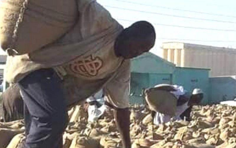 لكثرة العرض:  انخفاض أسعار المحاصيل  ببورصة القضارف