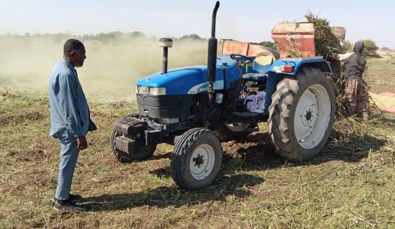 مع بدء حصاد الفول المصري.. مزارعون بمشروع السليم يطالبون الدولة بحماية المنتج المحلي