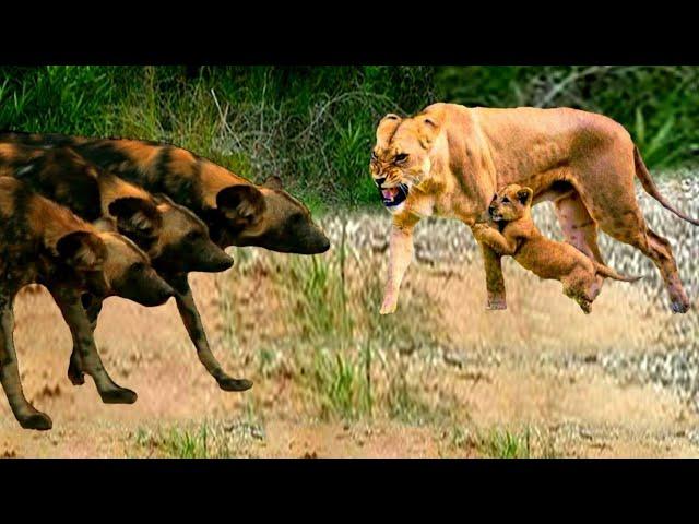 بسبب الصناعات الربحية.. مليون نوع من الحيوانات معرض لخطر الانقراض