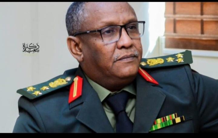 العميد دكتور الطاهر أبوهاجة يكتب : تحريك دعاوي جنائية في مواجهة مليشيا الدعم السريع المتمردة