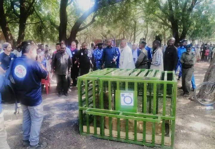 ترحيل حديقة السودان إلى ولاية الجزيرة