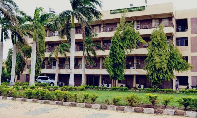 مقاومة ودمدني: ميليشيا الدعم السريع نهبت كل مجمعات جامعة الجزيرة ومنازل الأساتذة بالنشيشيبة والإعدادية وحنتوب وأبو حراز