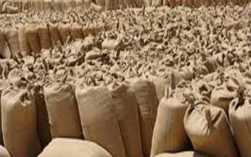 “وصلت إلى أكثر من مليوني طن ذرة”.. زيادة كبيرة في واردات المحاصيل بأسواق القضارف