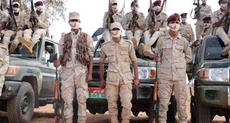 مقتل وإصابة 4 اشخاص وسرقة ألواح الطاقة الشمسية لبيارة قرية بالجزيرة