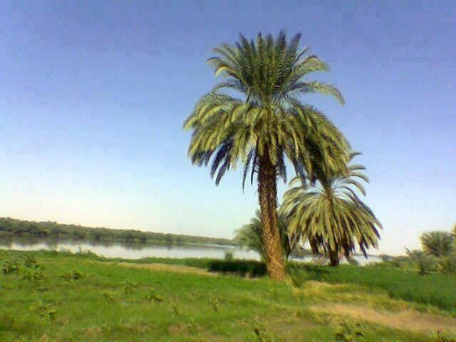 الحج والعمرة بالشمالية تعلن الكلفة الكلية لحج هذا العام