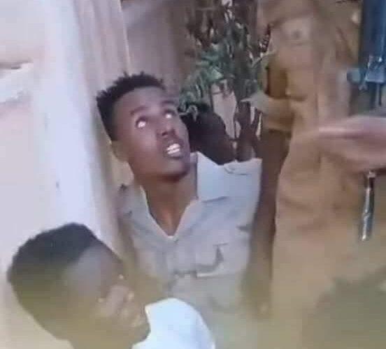 مليشيا الدعم السريع تُصفّي أحد ضُباطها والخلافات القبلية الداخلية تتصاعد