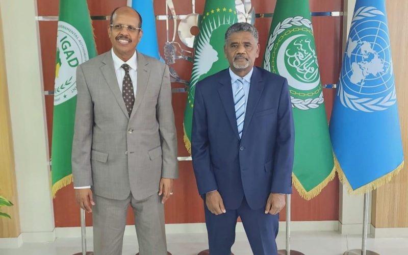 محمد سعيد سفيراً فوق العادة ومفوضاً لجمهورية السودان لدى جيبوتي