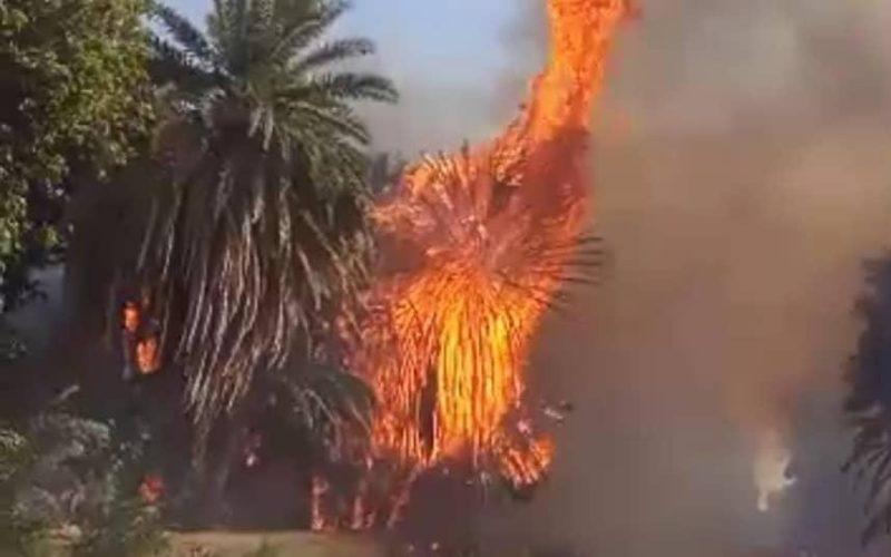 حريق يتسبب في أضرار وخسائر بمشروع نوري الزراعي