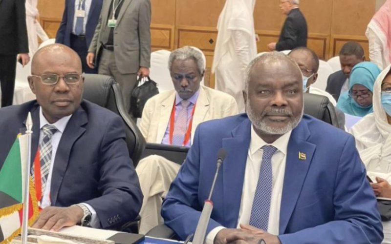 وزير المالية والتخطيط الإقتصادي يشارك في الإجتماعات السنوية المشتركة للهيئات المالية العربية في جمهورية مصر العربية