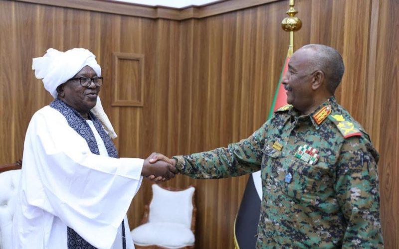 رئيس مجلس السيادة القائد العام للقوات المسلحة يلتقي سلطان دار مساليت