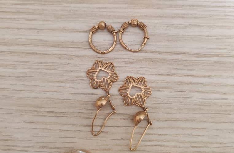 المباحث والتحقيقات الجنائية فرعية نهر النيل تضبط شبكة نسائية