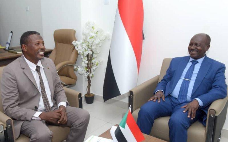 وزير الداخلية المكلف يلتقي الامين العام للمجلس القومي للطفولة