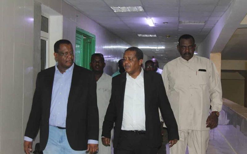 مدير المركز القومي لأمراض الجهاز الهضمي والكبد يزور الشمالية