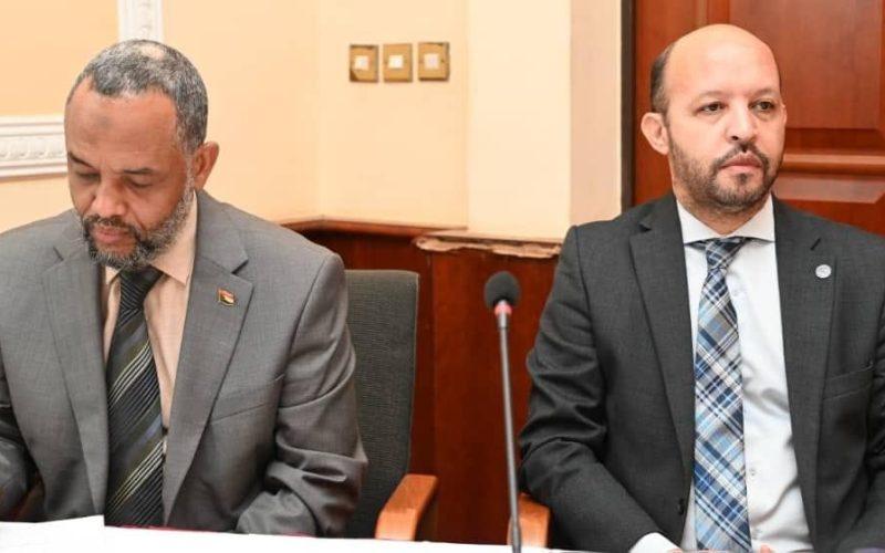 الإعداد للخطة مشتركة لدعم النظام الصحي بالسودان