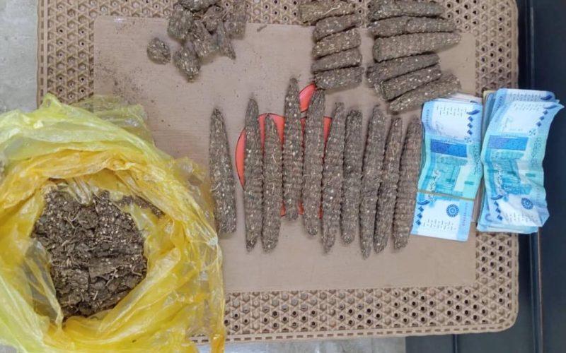 ضبط 200 رأس من البنقو بتقاطع أمبكول كورتي وشرطة مروي تتخذ الإجراءات اللازمة