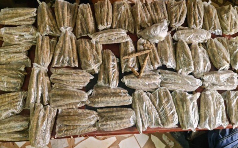 شعبة مكافحة المخدرات بمحلية كرري توقف متهماً متخصصاً في ترويج المخدرات