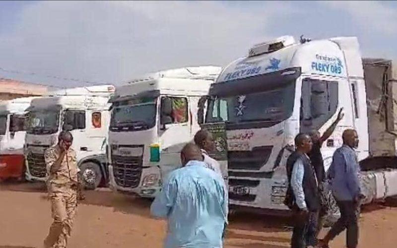 منظمة تقدم “6500 “سلة غذائية للمتأثرين بالحرب في ولاية الجزيرة