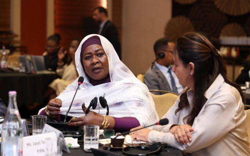 وزيرة الاستثمار تخاطب ملتقى الكوميسا بتونس