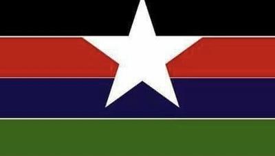 حركة تحرير السودان: قوى الكفاح المسلح حققت نصراً مستحقا على مليشيا الدعم السريع بـ “وادي أمبار” شمال دارفور