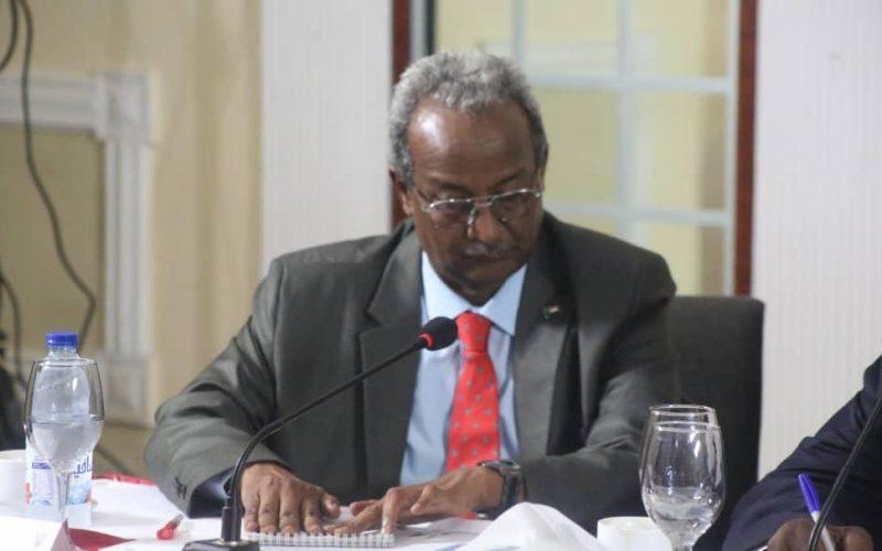 الخارجية: تحركات لمجابهة حملة ضد السودان