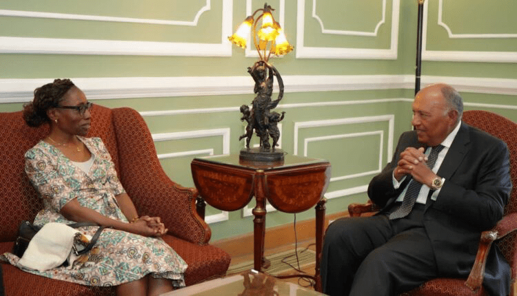 وزير الخارجية المصري يتحدث عن السودان