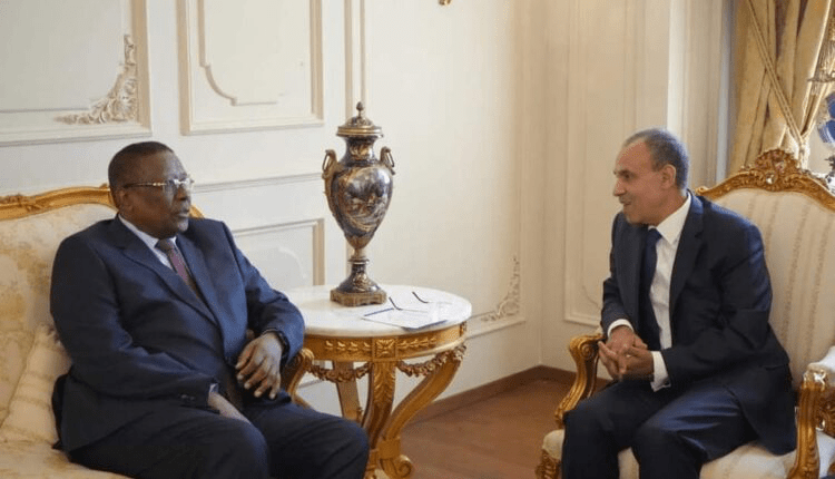 بشأن الأزمة في السودان .. اتفاق بين مصر وتشاد